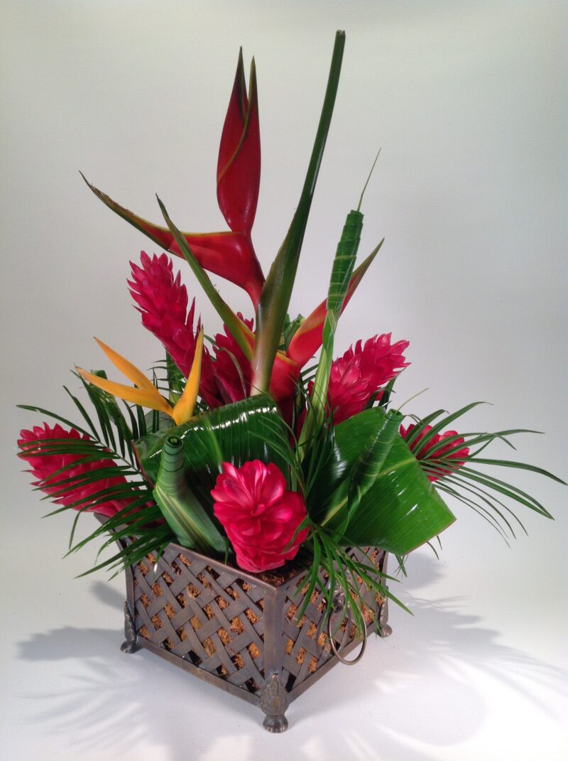 Tropical In Iron Basket