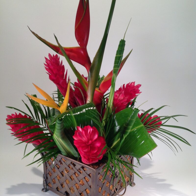 Tropical In Iron Basket