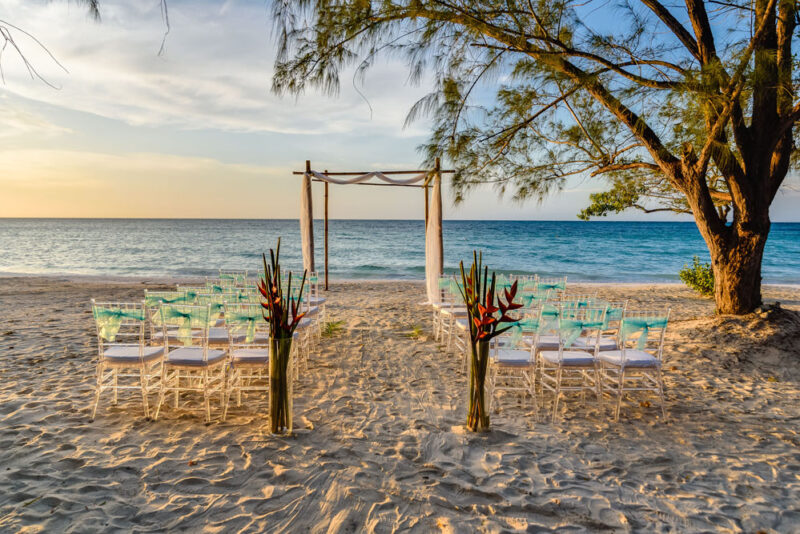 Bamboo Arch with Basic Draping - Image 2